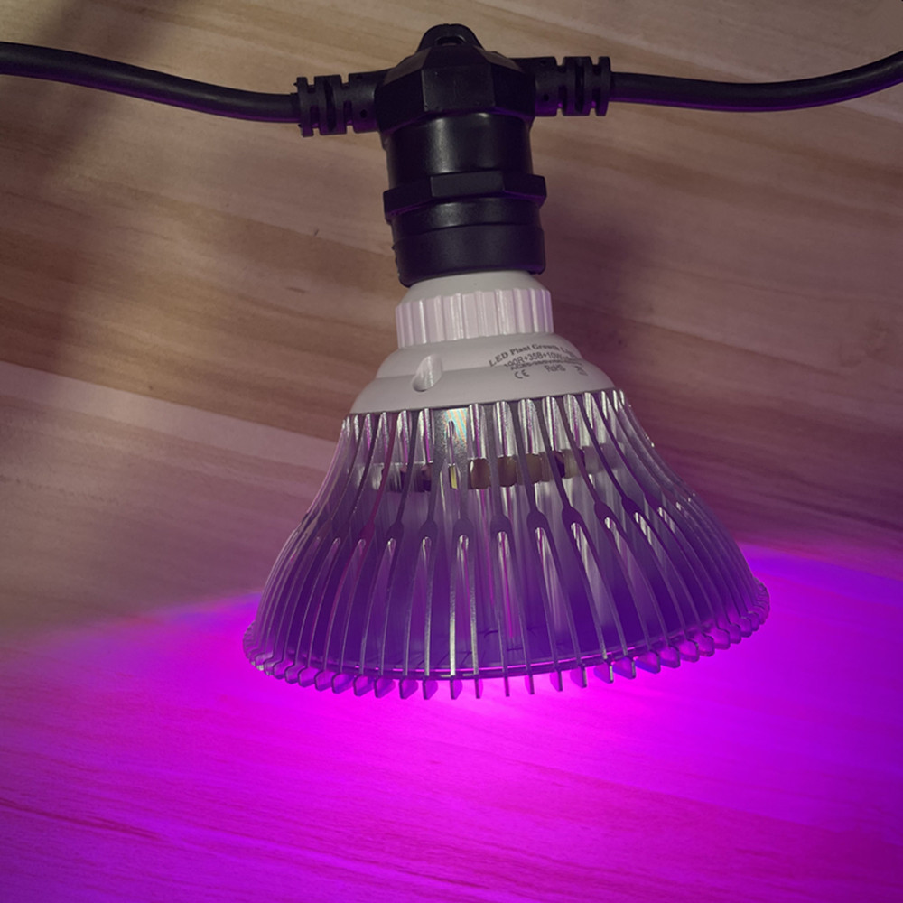 Kabel LED 10M Kelas Komersial  - Outdoor Lighting Effects ulasan dan harga